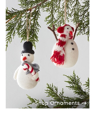 SHOP ORNAMENTS