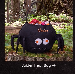 SPIDER TREAT BAG