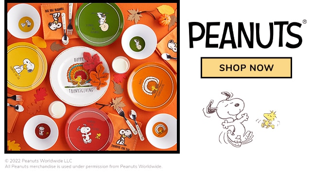 PEANUTS THANKSGIVING