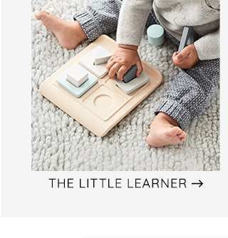 THE LITTLE LEARNER