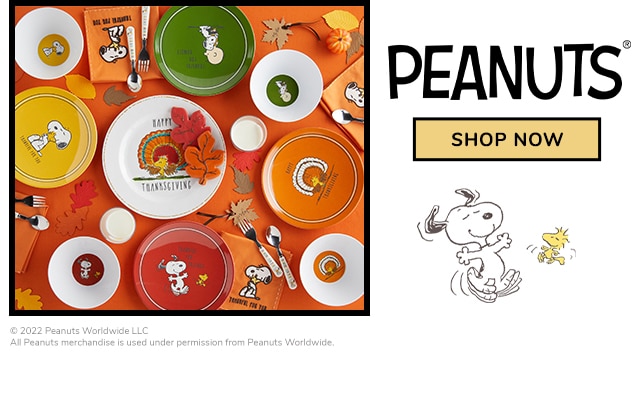 PEANUTS - SHOP NOW