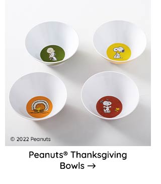 PEANUTS THANKSGIVING BOWLS