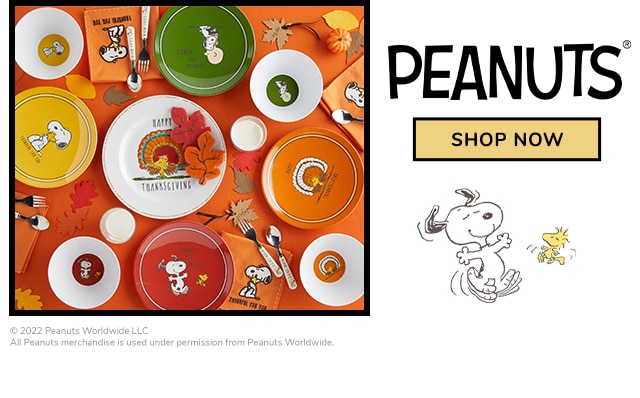 PEANUTS THANKSGIVING SHOP