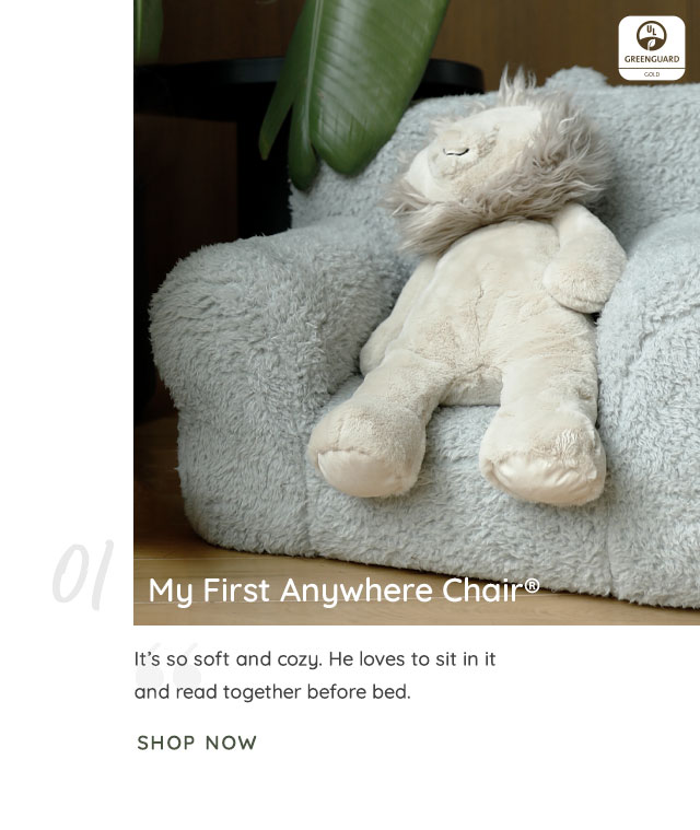 MY FIRST ANYWHERE CHAIR