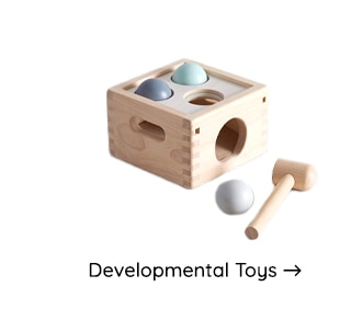 DEVELOPMENTAL TOYS