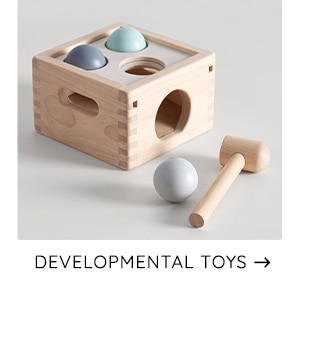 DEVELOPMENTAL TOYS