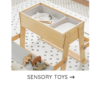 SENSORY TOYS