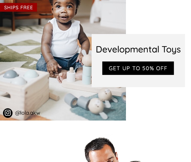 DEVELOPMENTAL TOYS