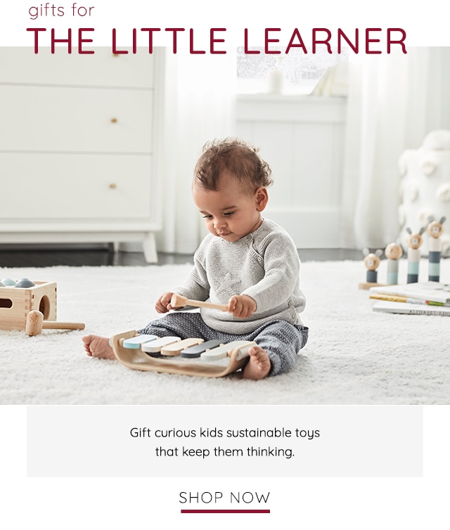 THE LITTLE LEARNER