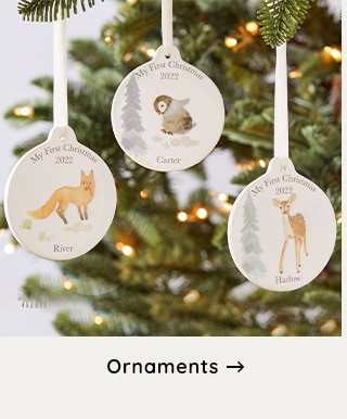 ORNAMNETS