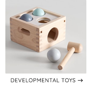 DEVELOPMENTAL TOYS