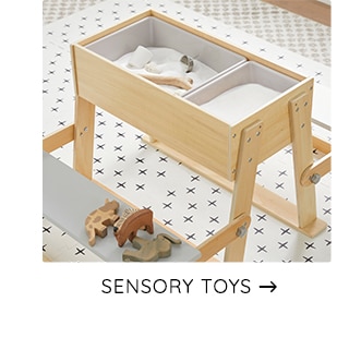 SENSORY TOYS