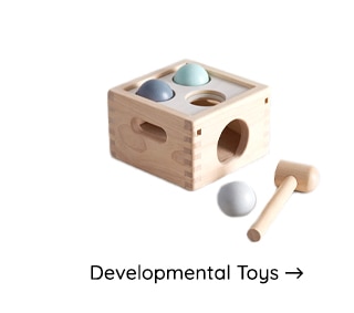 DEVELOPMENTAL TOYS