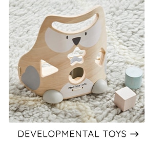 DEVELOPMENTAL TOYS