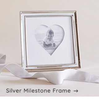  Silver Milestone Frame - 