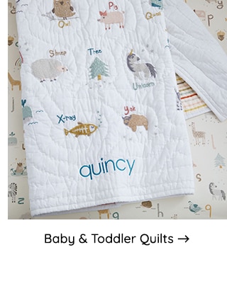 BABY AND TODDLER QUILTS  Baby Toddler Quilts 