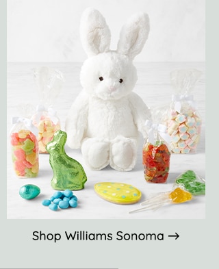 SHOP WILLIAM SONOMA