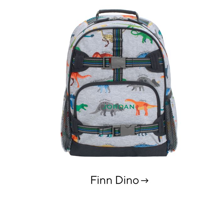 FINN DINO