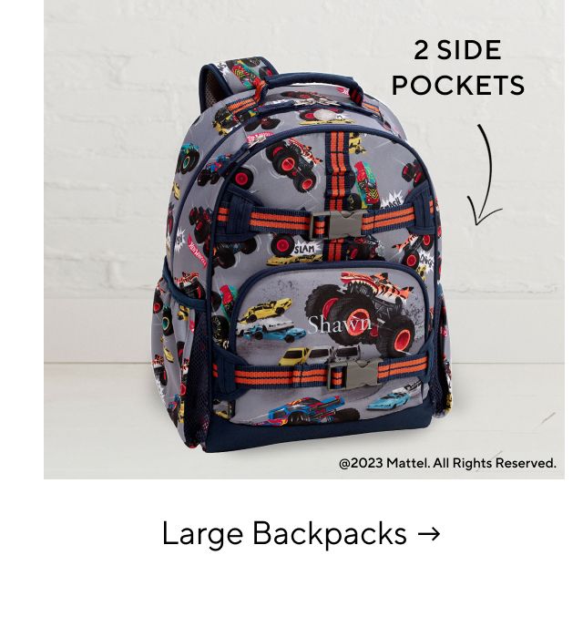 LARGE BACKPACKS