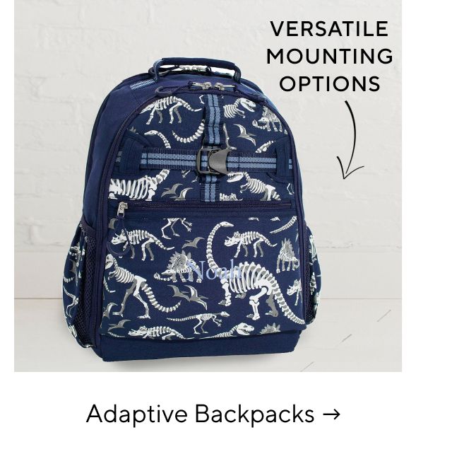 ADAPTIVE BACKPACKS