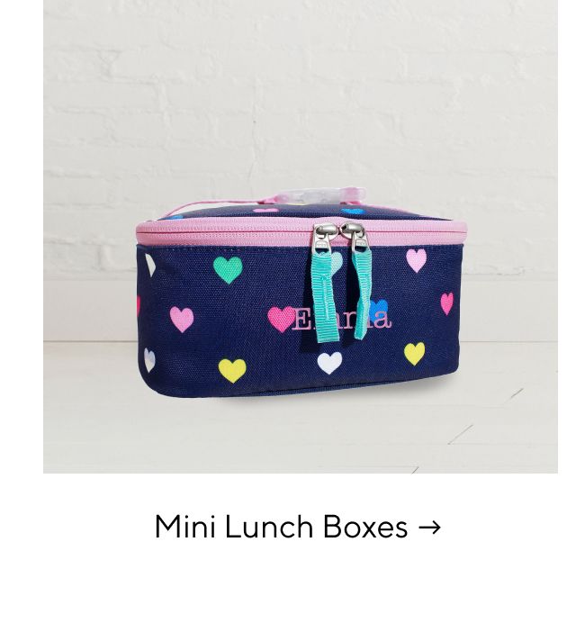 MINI LUNCH BOXES