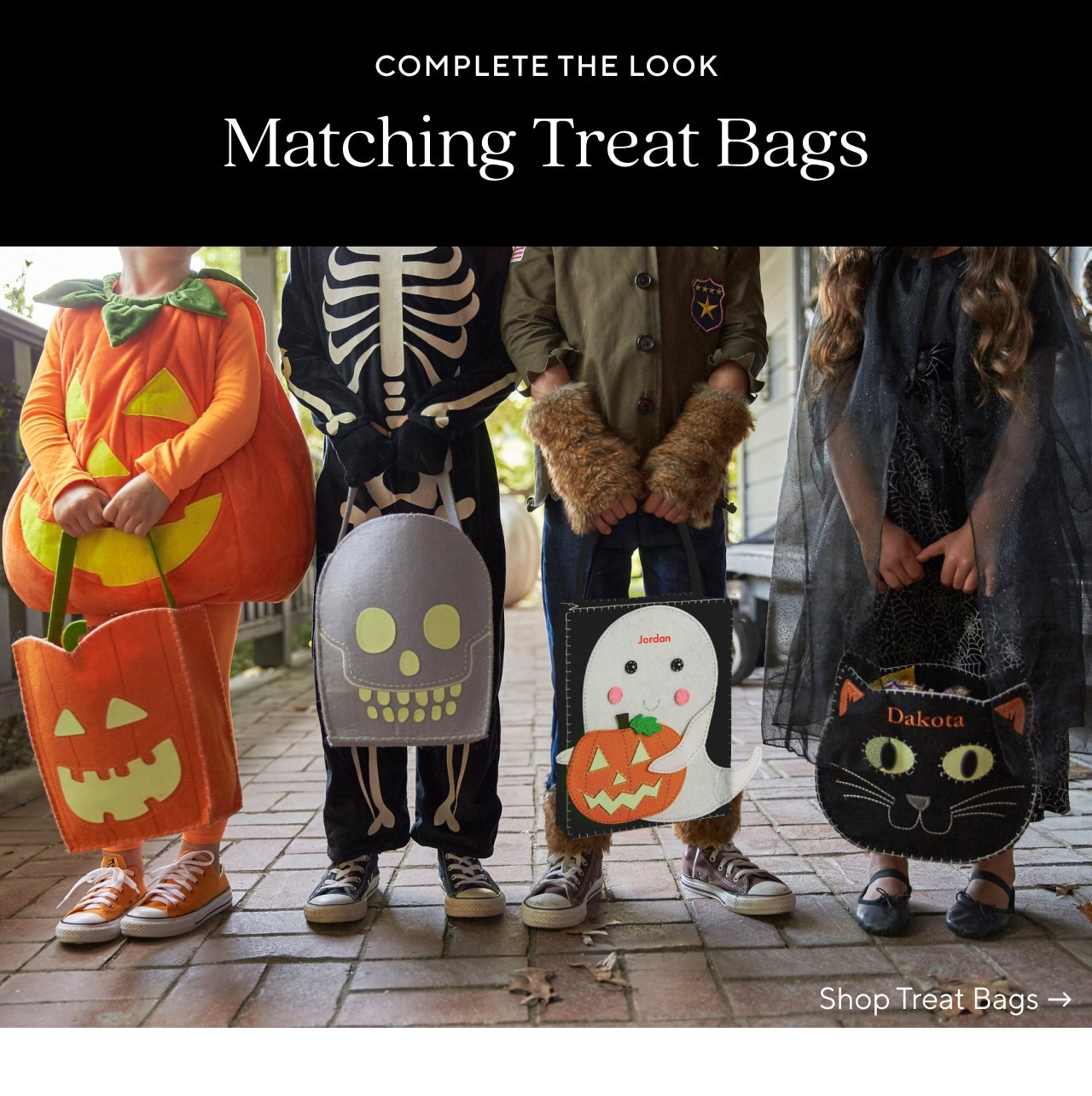 MATCHING TREAT BAGS