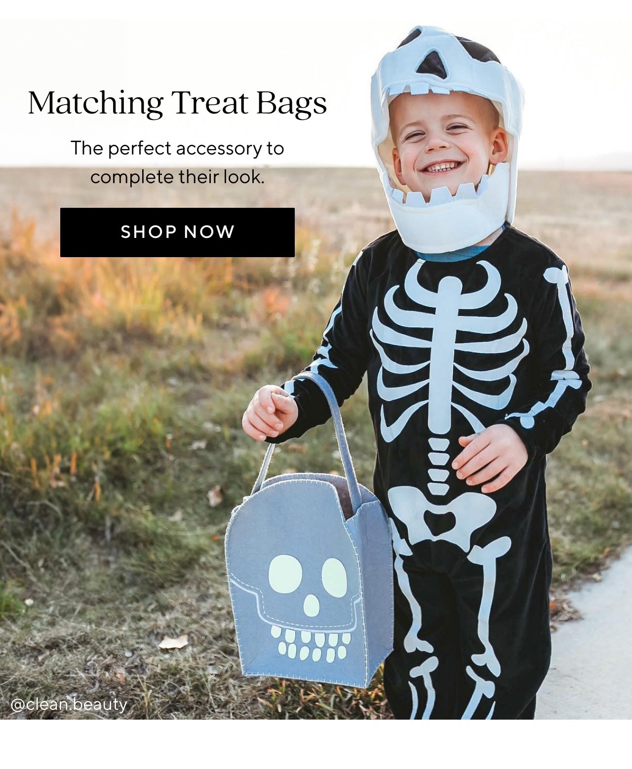 MATCHING TREAT BAGS