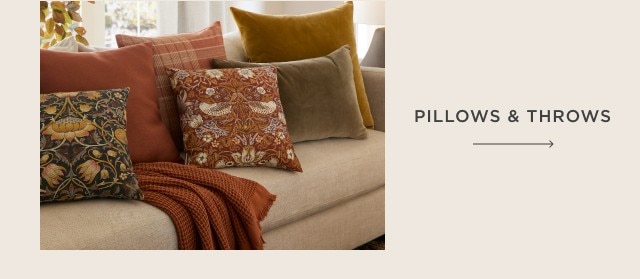 PILLOWS & THROWS