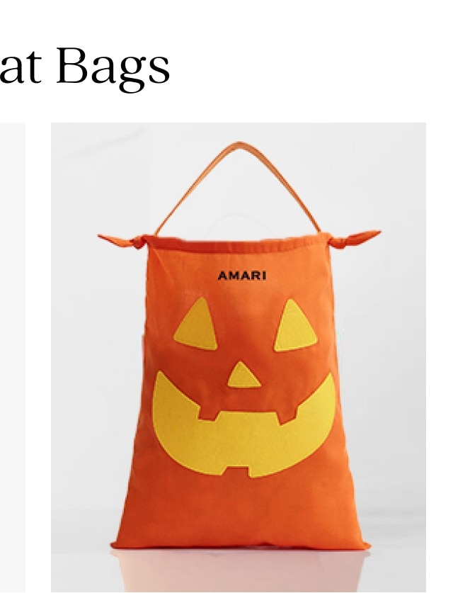 PUMPKIN TREAT BAG