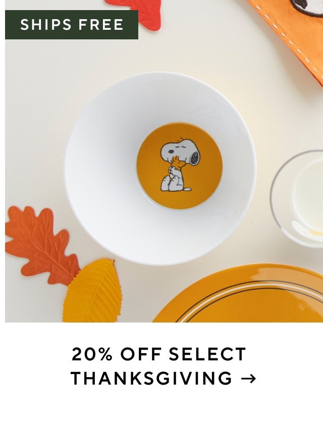 20% OFF SELECT THANKSGIVING