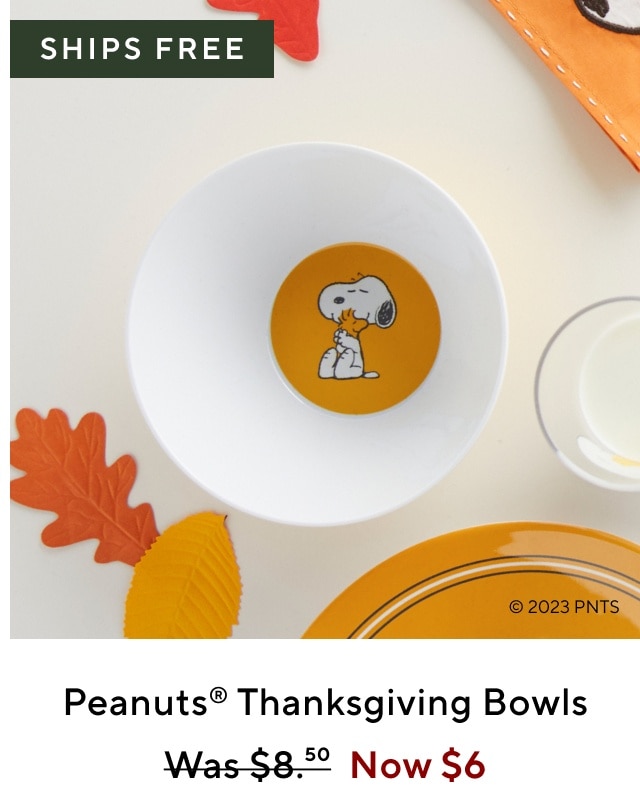 PEANUTS THANKSGIVING BOWLS