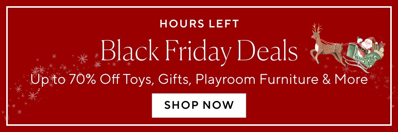 HOURS LEFT - BLACK FRIDAY DEALS