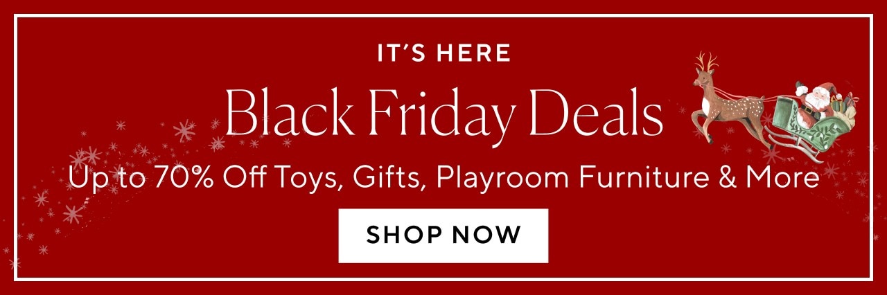 IT'S HERE - BLACK FRIDAY DEALS