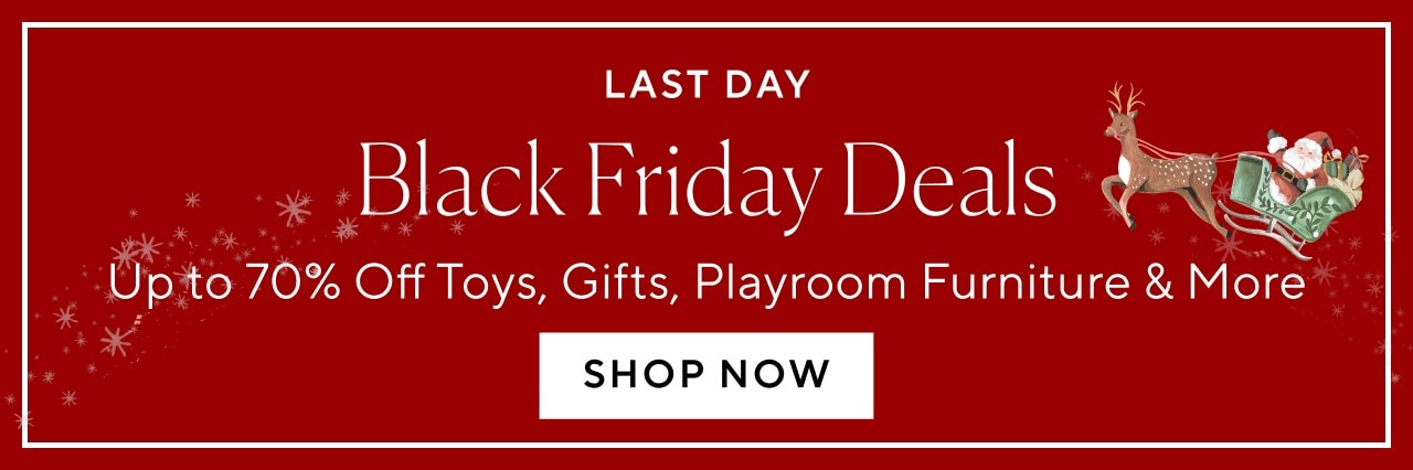 LAST DAY - BLACK FRIDAY DEALS