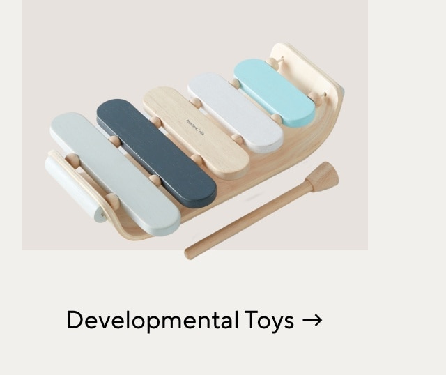 DEVELOPMENTAL TOYS