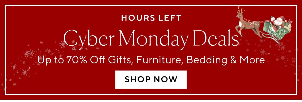 HOURS LEFT - CYBER MONDAY DEALS