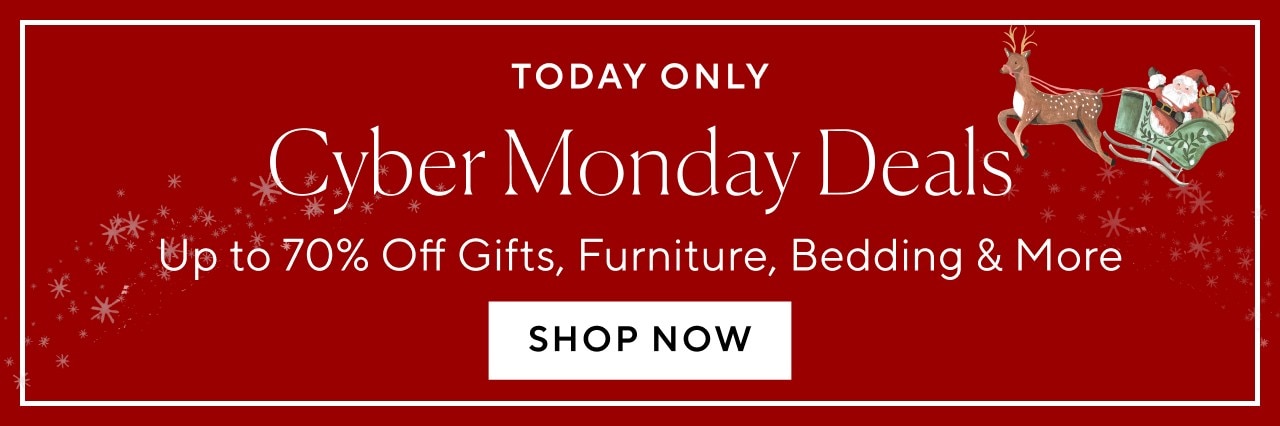 TODAY ONLY - CYBER MONDAY DEALS