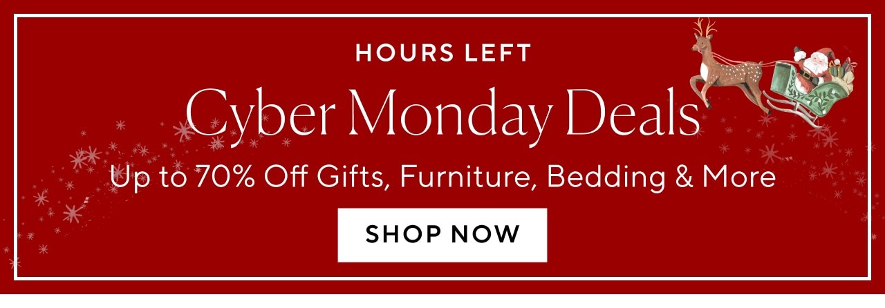 HOURS LEFT - CYBER MONDAY DEALS