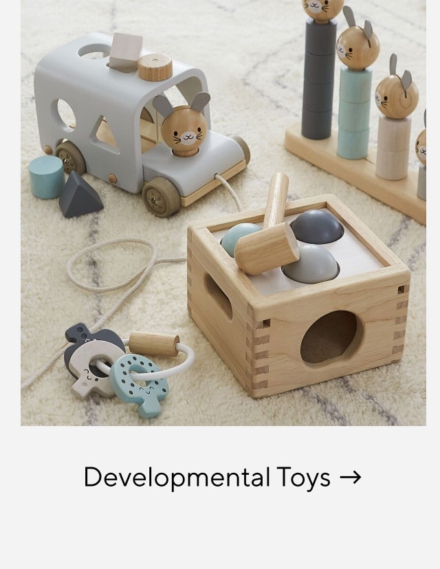 DEVELOPMENTAL TOYS