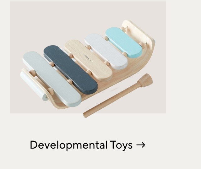 DEVELOPMENTAL TOYS