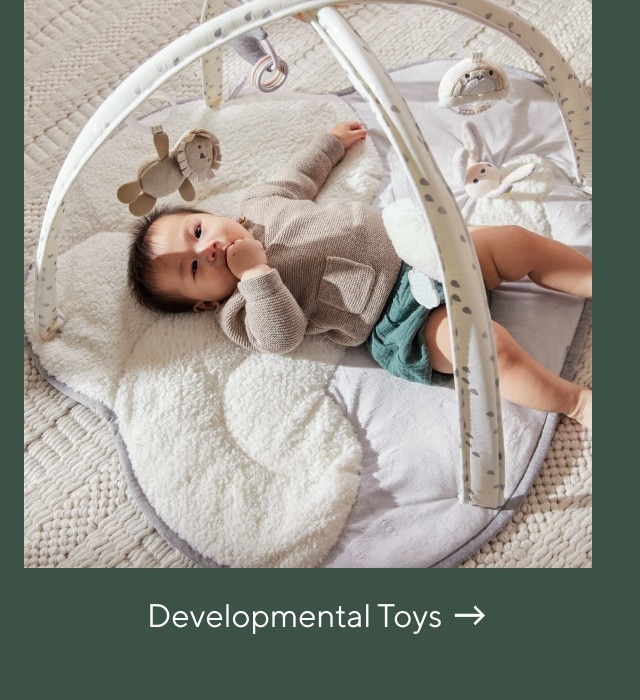 DEVELOPMENTAL TOYS