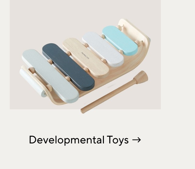 DEVELOPMENTAL TOYS