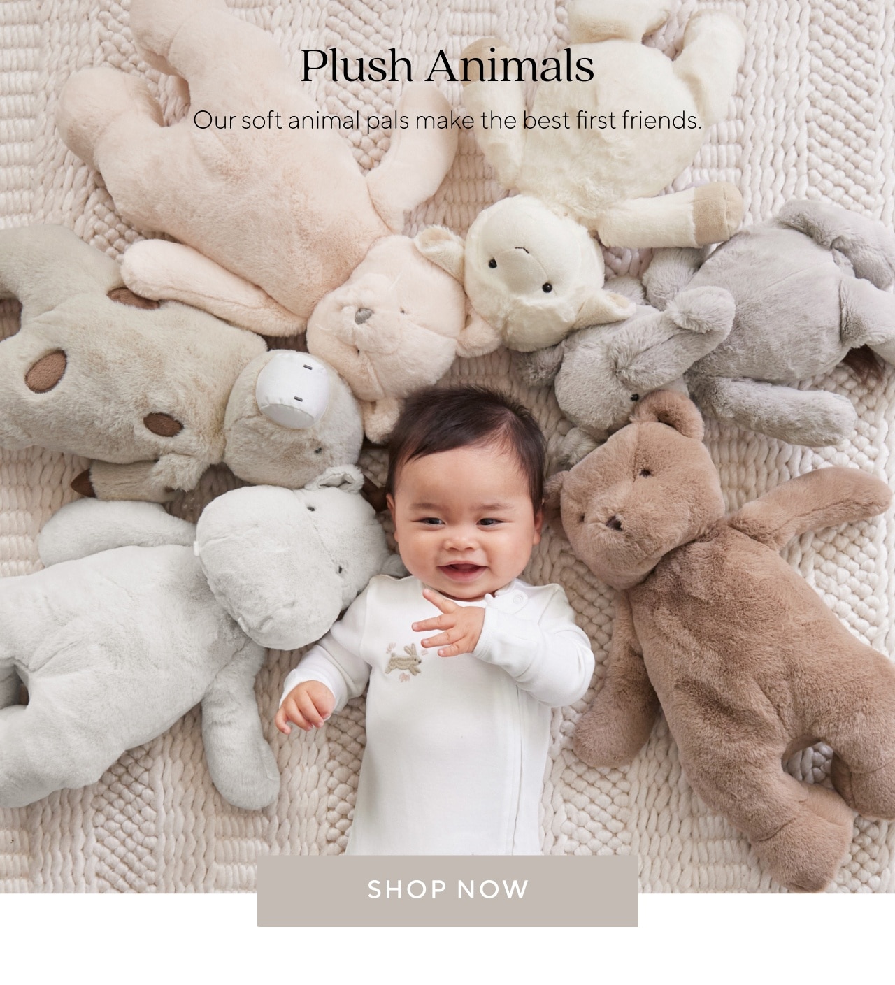 PLUSH ANIMALS