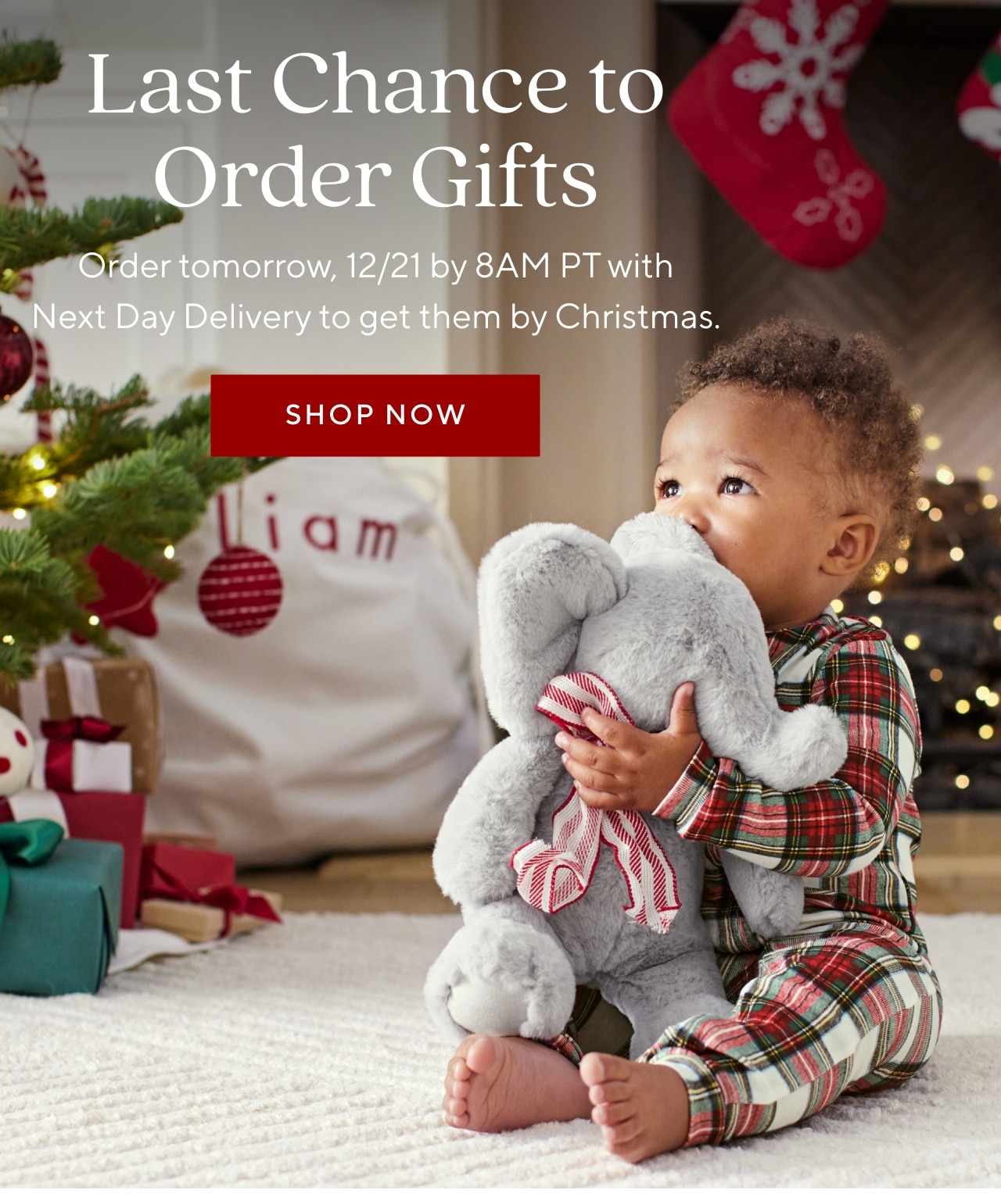 LAST CHANCE TO ORDER GIFTS