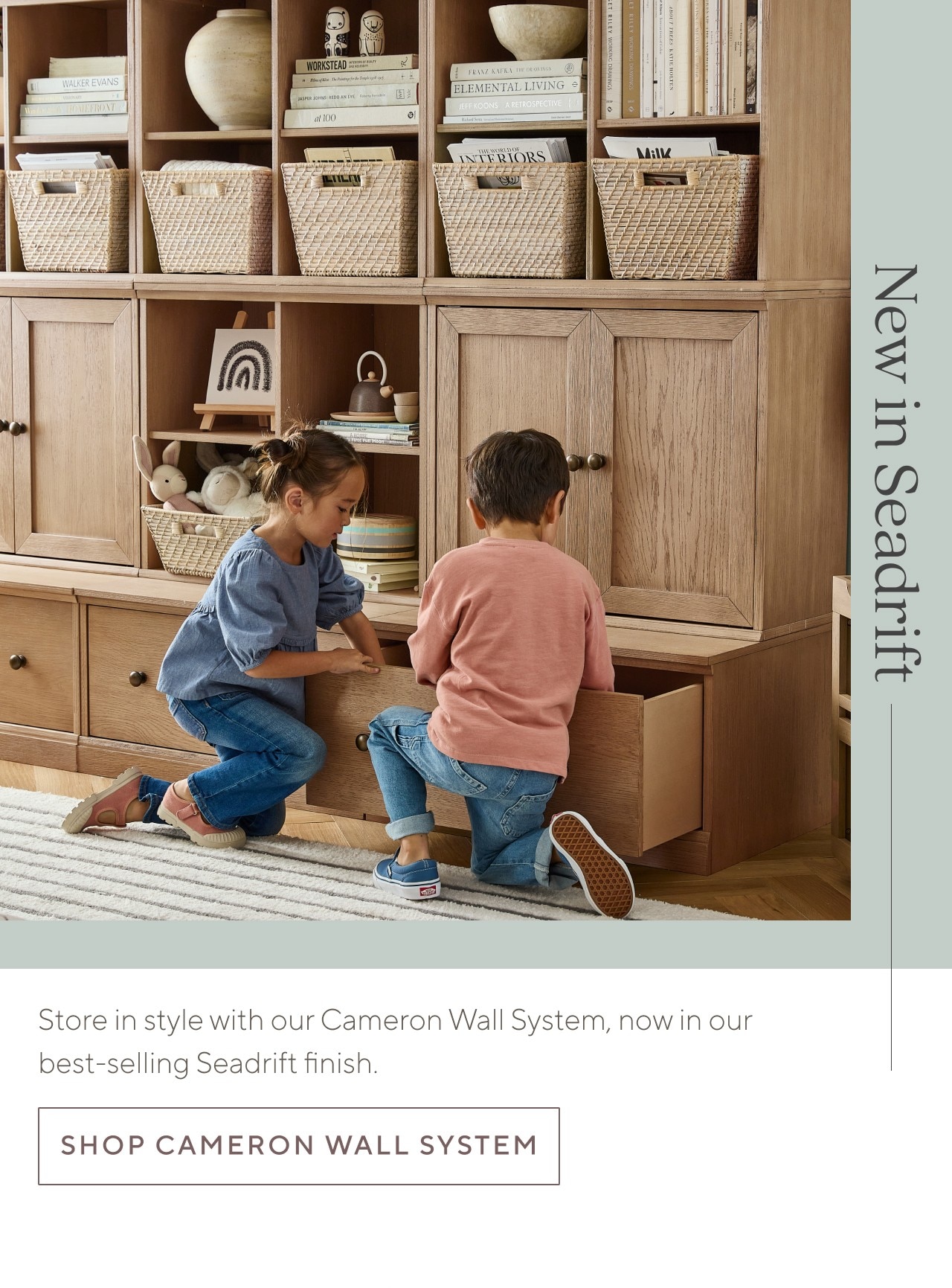 SHOP CAMERON WALL SYSTEM