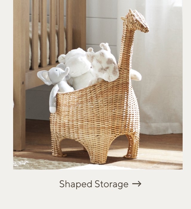 SHAPED STORAGE