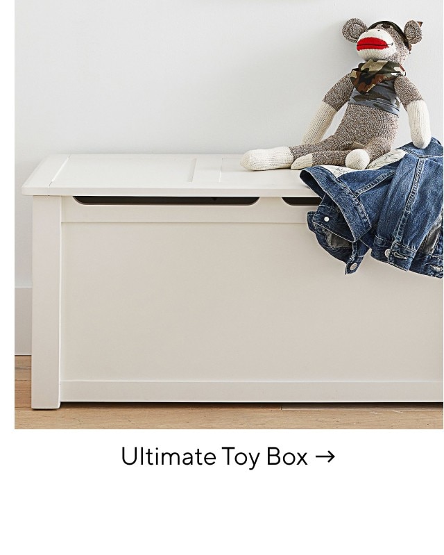 ULTIMATE TOY BOX