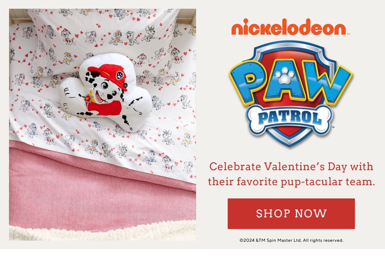 NICKELODEON PAW PATROL