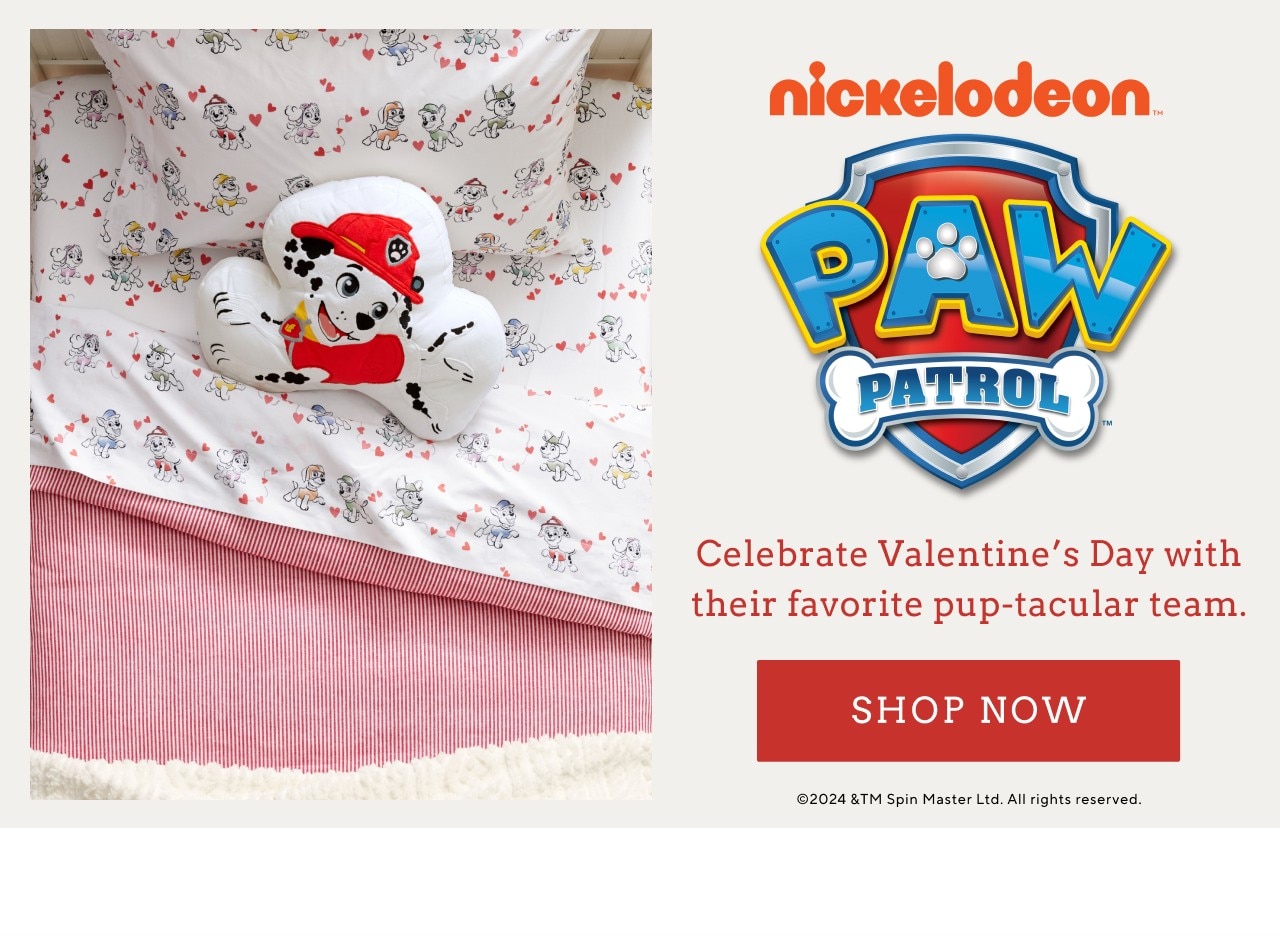 NICKELODEON PAW PATROL VALENTINE'S DAY