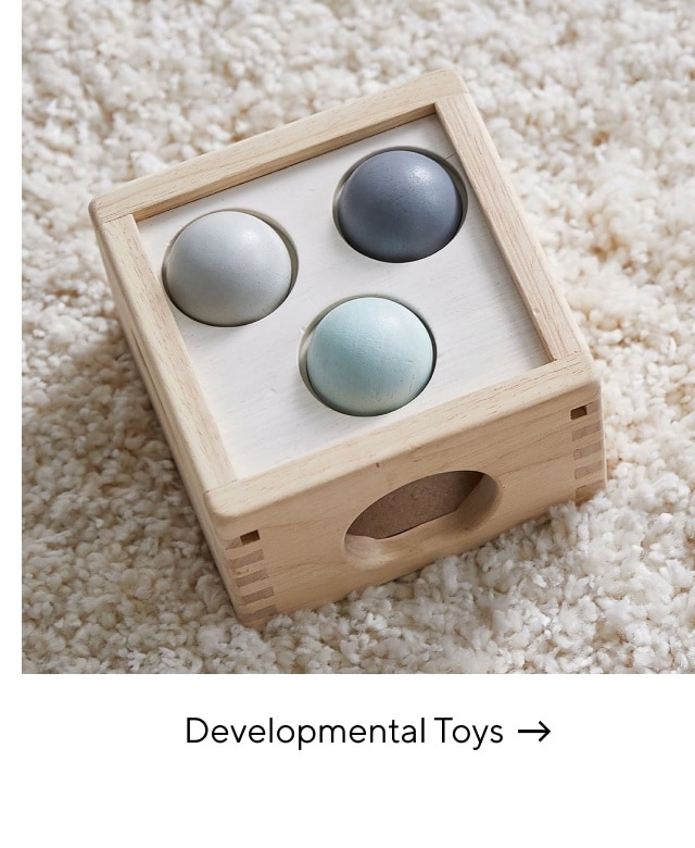 DEVELOPMENTAL TOYS